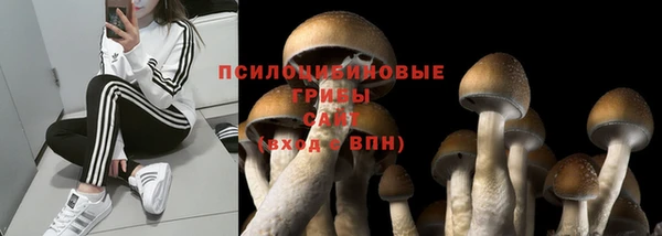 прущий лед Алексин