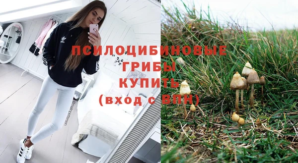 сатива Рославль
