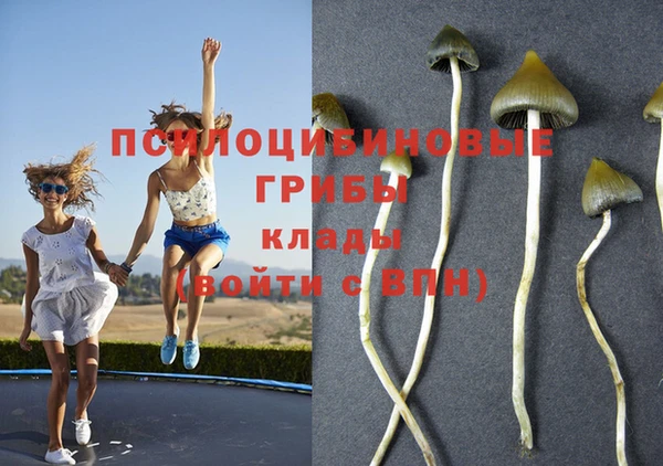 эйфоретик Алзамай