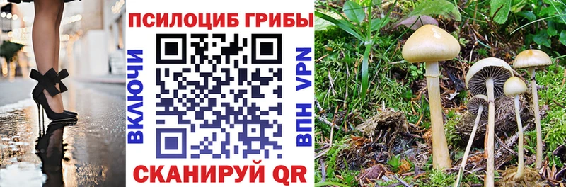 Псилоцибиновые грибы GOLDEN TEACHER  Карпинск 